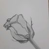 flowers11f