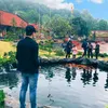 suhuongtiktok2023