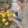 tranxuan965