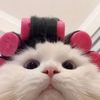 user0847xxx