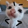 12_varechka_12