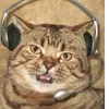 beans______________112