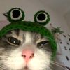 jellyfishi3_