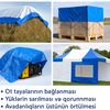 araz_4212