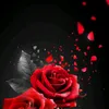 zxdg_36