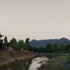 elvinmeherrmov