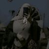 nrmeenabdelhady