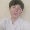 elvis_2806