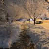 yyc.tristann