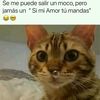 morochito_corazon