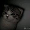 zy.zd_
