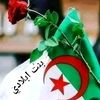 noor.nina8