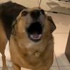 let.me.do.it.for.you