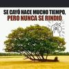 alejandromirand175