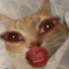 ziyou_075