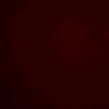salma.haytham6