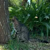kitkatttt0811