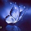 dowa0033