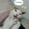dafugatetas