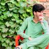 shams_afridii