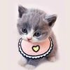 kitten_lovely_