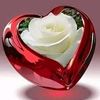 user1406979238851