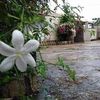 amnahyousef22