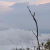 nemenranggenahe