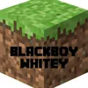 blackboywhitey