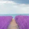na_ton4563