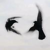 niloss_071