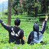 aleshastore59