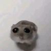 el_aldord
