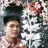 vantrinh19574