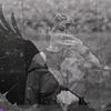_ayshan_91_