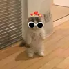 katsarekool_