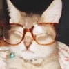 viviennesbackup2.0
