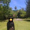 ayuajah126