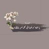 sallykamal22