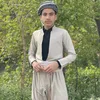 hamedpalany