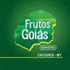 frutosdegoiascaceres