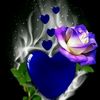 user2800557954461