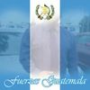 david568319