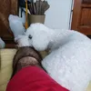 santiagomarchionn4