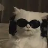 bahargirl6