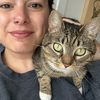 some__cat