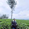 hanyamarlina