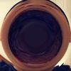 jamie_sun123