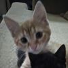 cutesiebonez