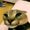 khoirulihsaan1